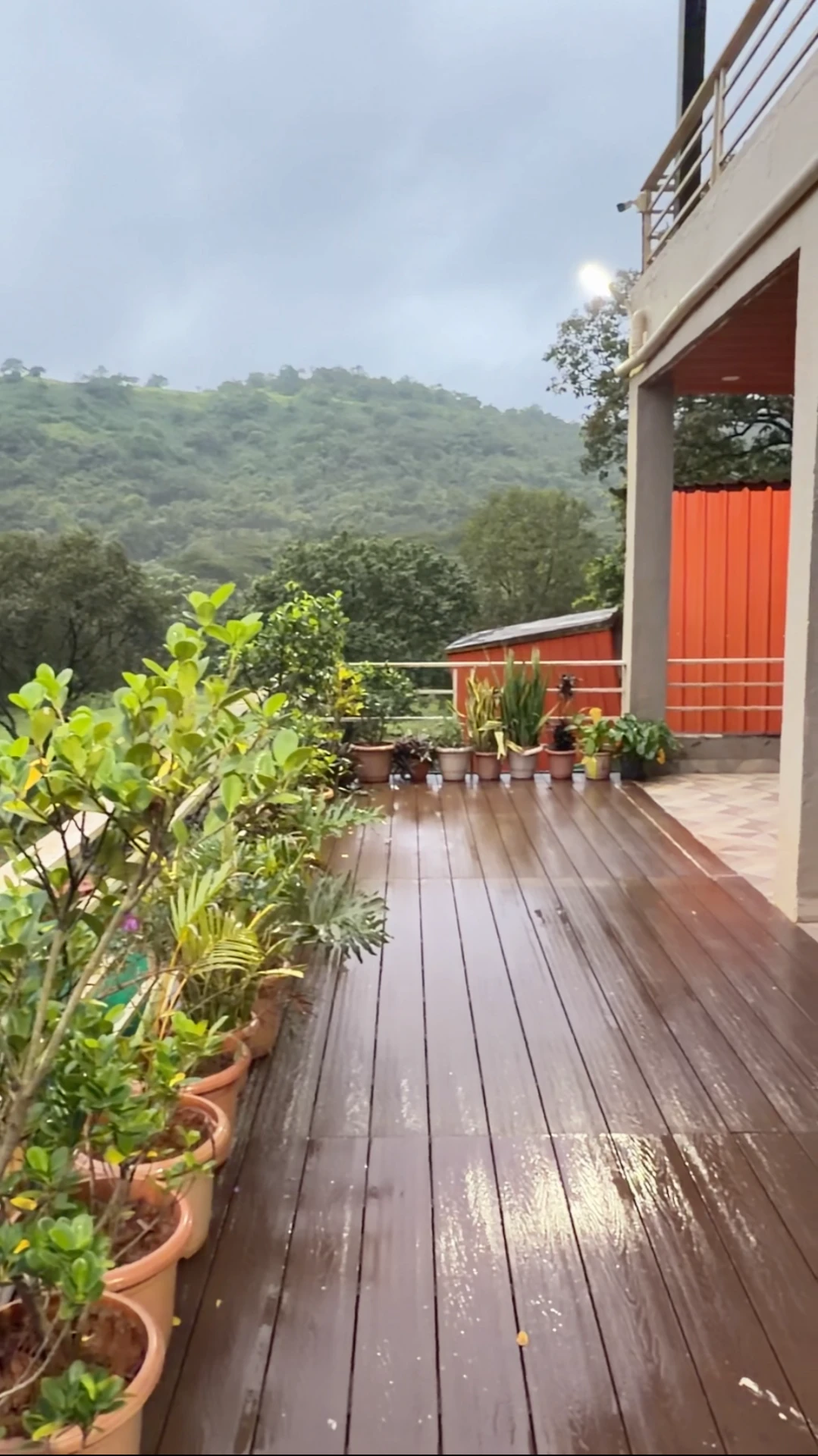 The garden deck