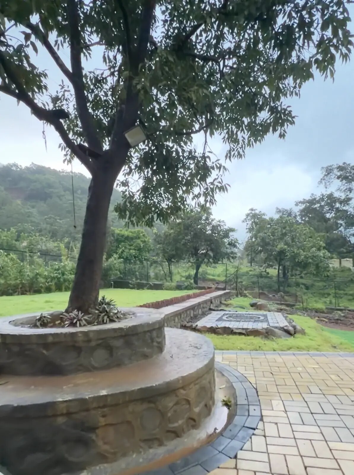 The garden and trees near Sukoon Villa