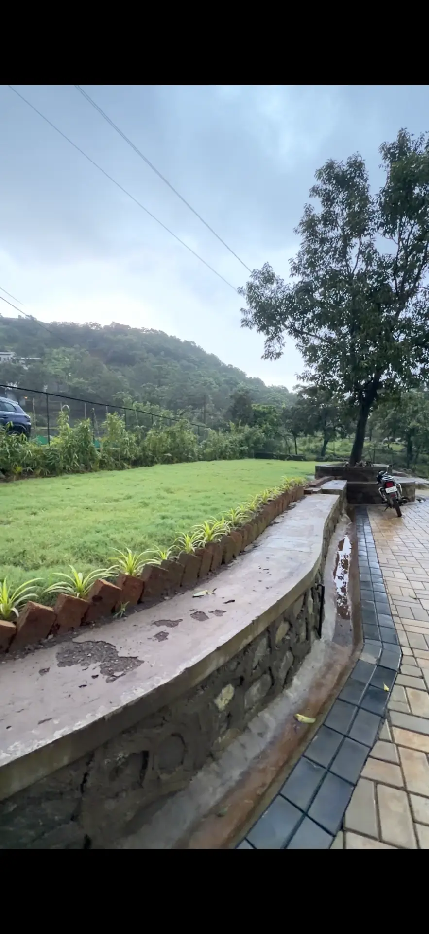 The green surrounds